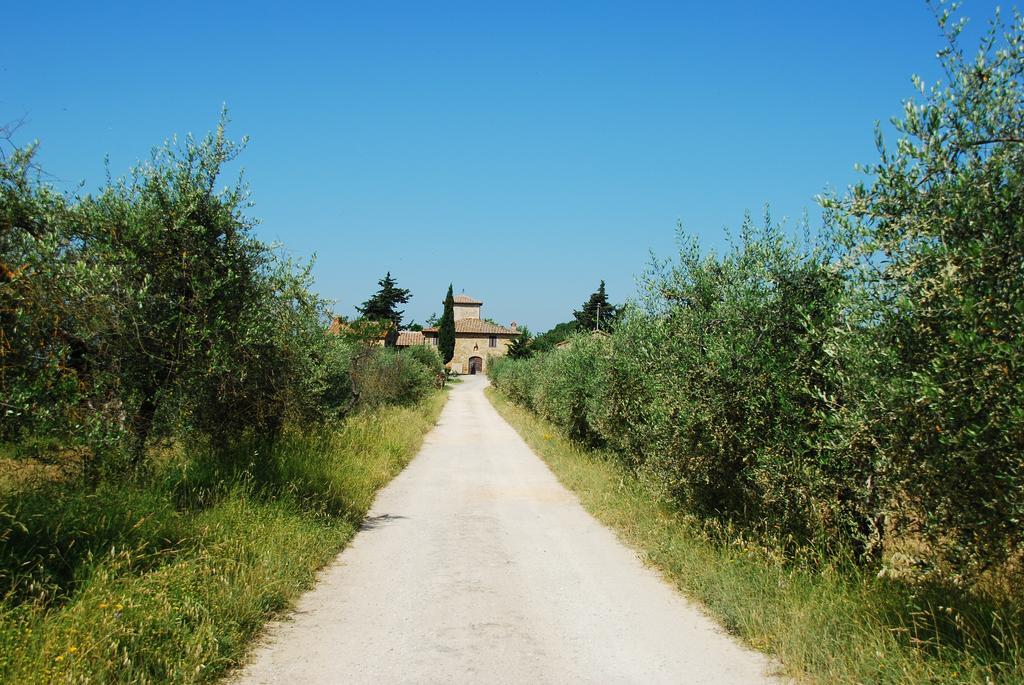 B&B Le Querciole Del Chianti Barberino Val d'Elsa Ngoại thất bức ảnh
